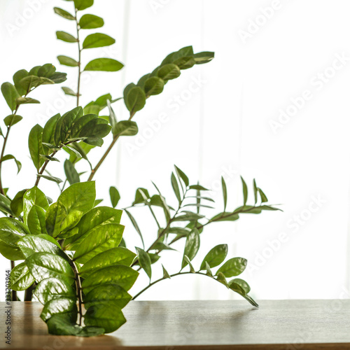 Wooden table of free space for your decoration and spring morning sun light.