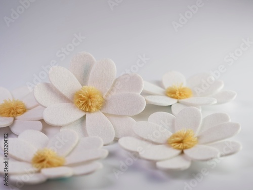 White felt daisy flower blooms with yellow Pom Pom centers sitting on a white background. Spring flowers.