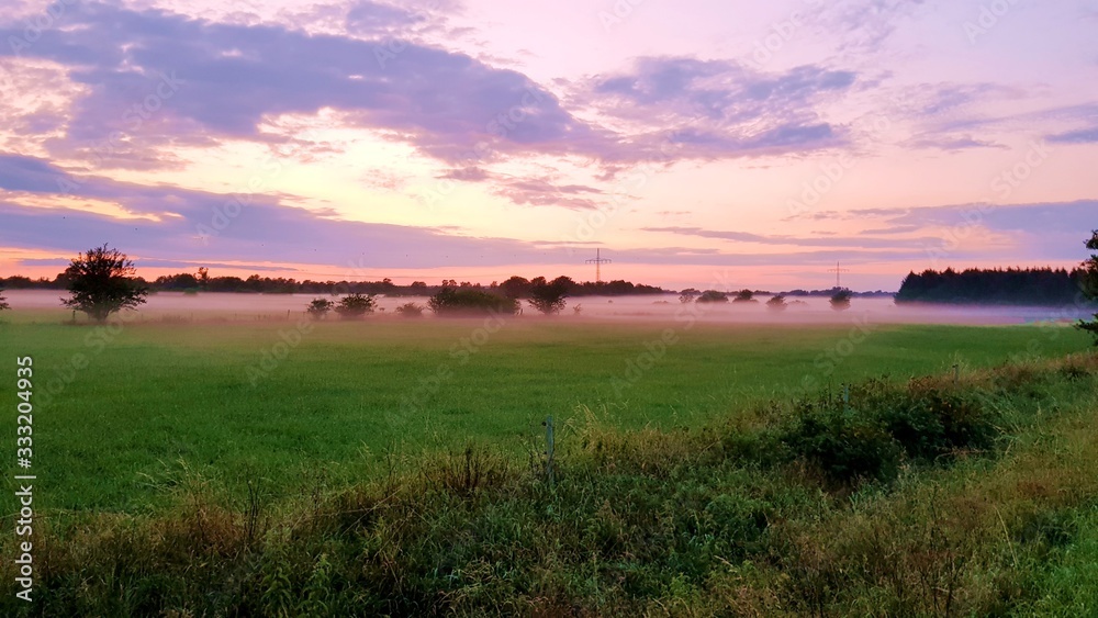 Foggy field in the north german countryside summer evening