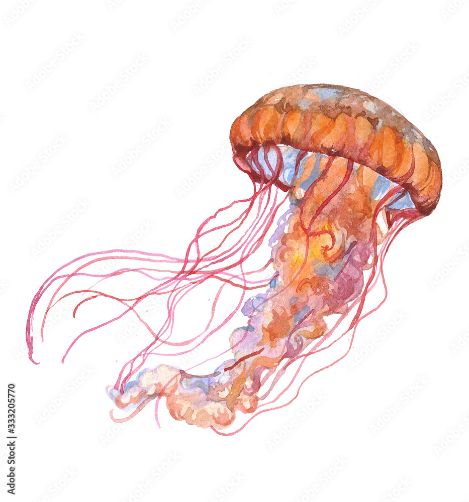 Naklejka premium Watercolor jellyfish animal on a white background illustration 
