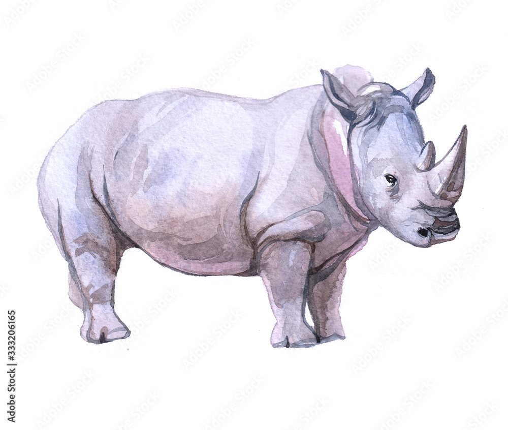 Watercolor rhinoceros animal on a white background illustration
Watercolor rhinoceros animal on a white background illustration