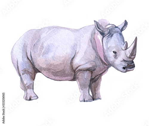 Watercolor  rhinoceros animal on a white background illustration
