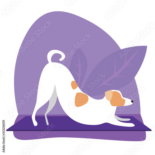 Cute puppy or jack russell terrier practices yoga, flat stock vector illustration with character dog or tropical plants as a concept of healthy lifestyle