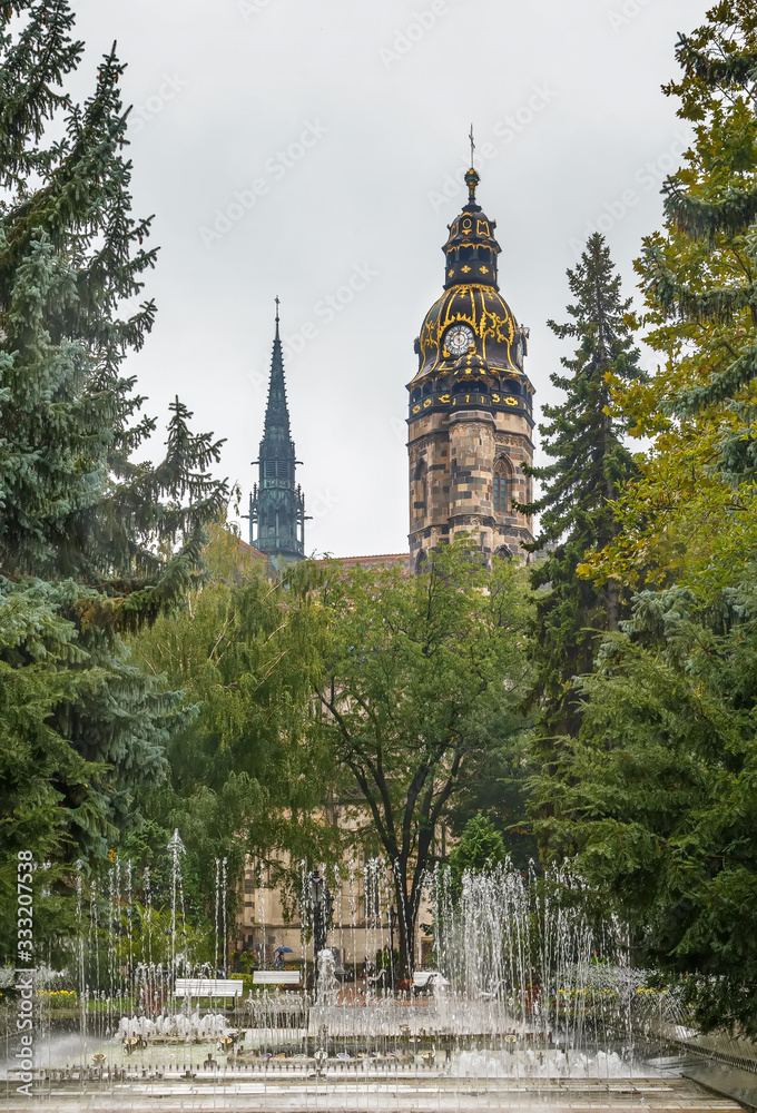 Naklejka premium St Elisabeth Cathedral, Kosice, Slovakia