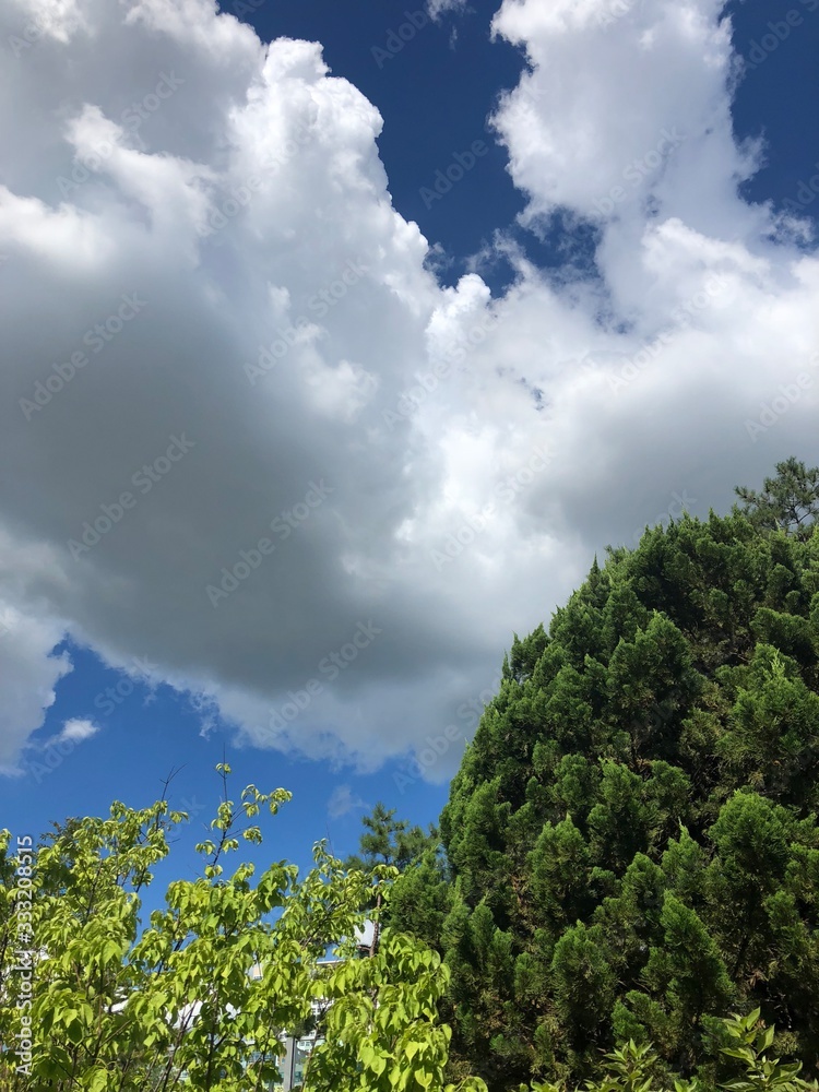 green blue big nature clean wallpaper green blue big nature clean wallpaper