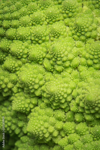 Romanesco broccoli macro shot - fractal