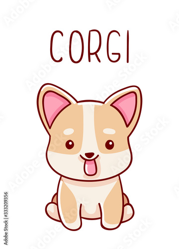 Cute kawaii hand drawn corgi dog doodles, lettering corgi , isolated on white background