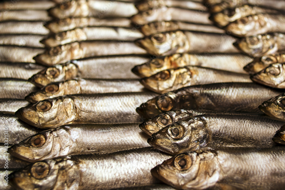 Background of small fish
