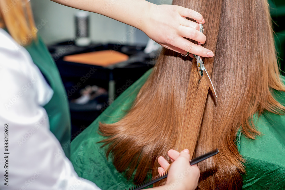 Fototapeta premium Cutting hair of woman.