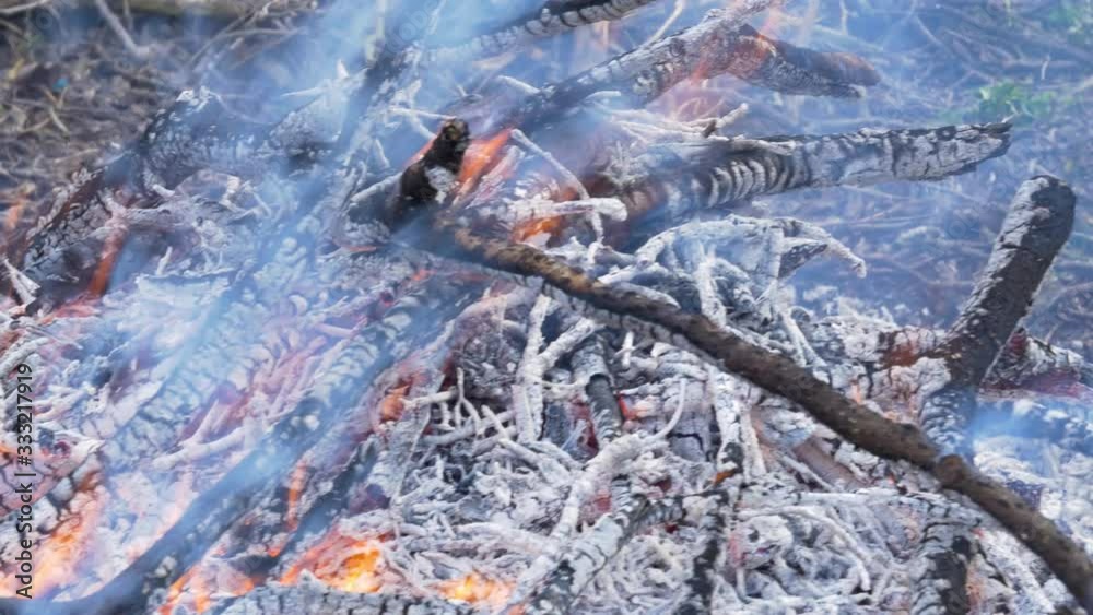 A burning bonfire in a natural setting. Orange and red flames and gray smoke blown away by the wind. Burning sticks. A burning bonfire in a natural setting. Orange and red flames and gray smoke blown away by the wind. Burning sticks.