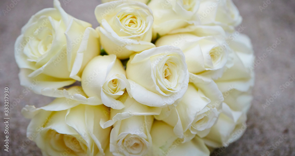 bouquet of roses bouquet of roses