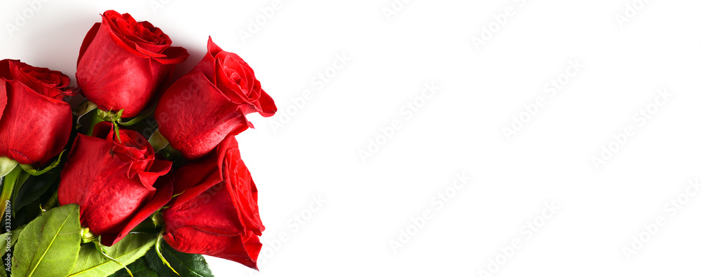 Fototapeta Red roses on white background wide banner. Bouquet of fresh rose flowers isolated with copy space for text.