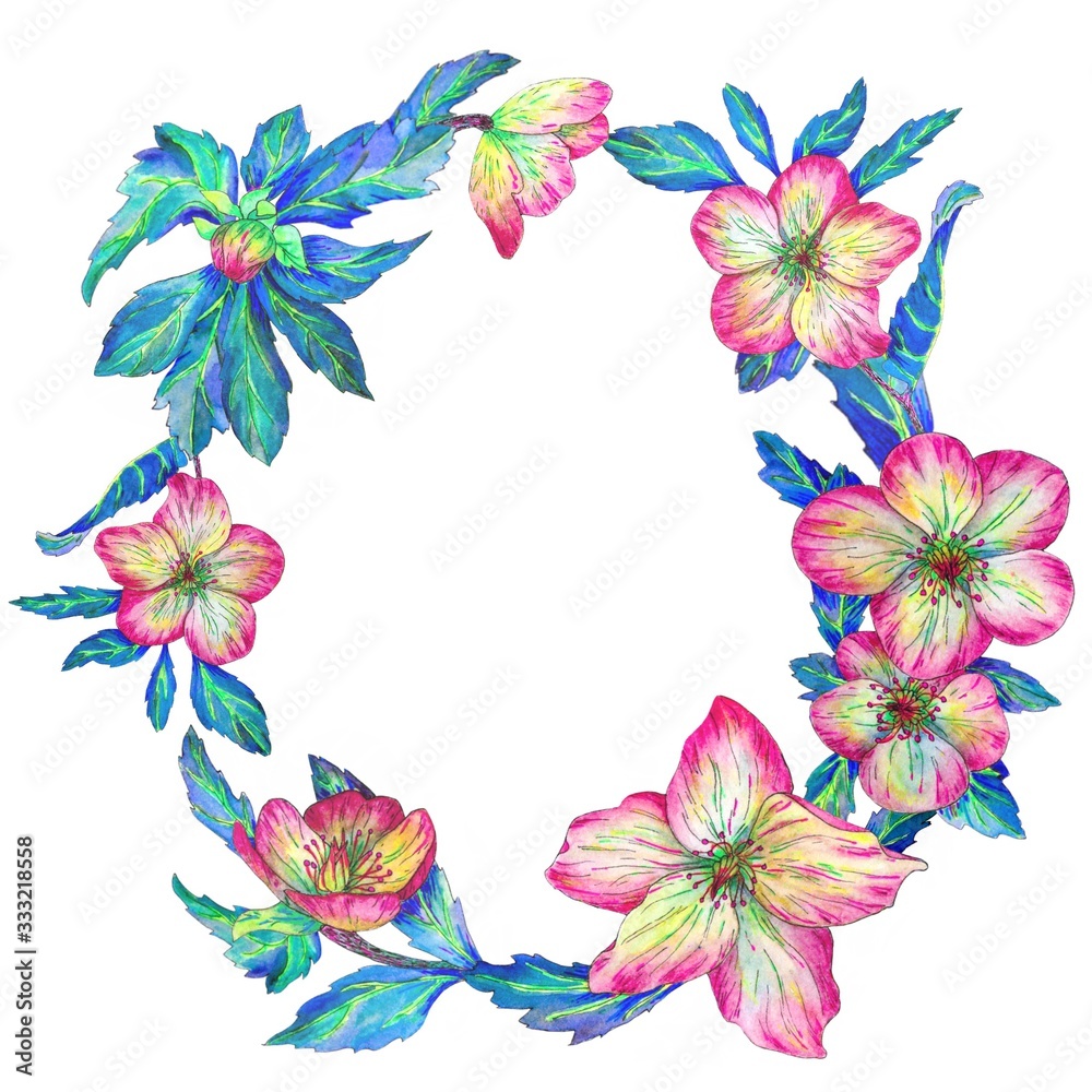 Fototapeta premium Watercolor wreath hellebore