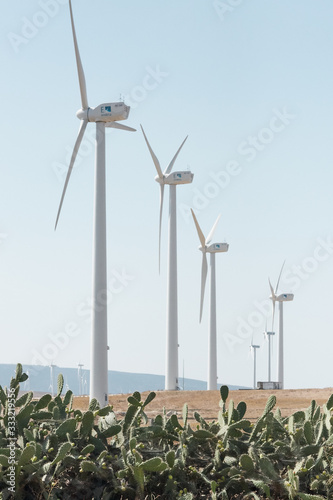 parque eolico, aerogeneradores, molinos de viento photo