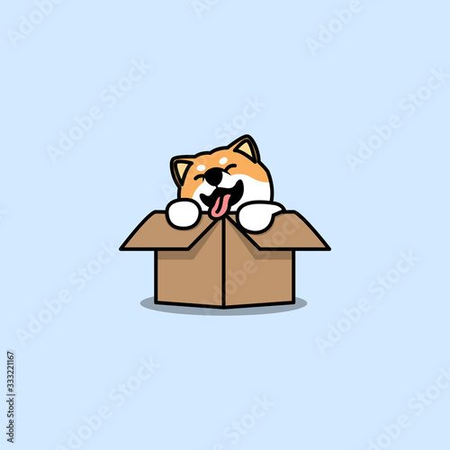 Cute shiba inu dog in the box, vector illustration