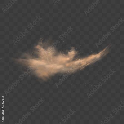 Dust sand cloud with stones and flying dusty particles isolated on transparent background. Desert sandstorm. Realistic vector illustration