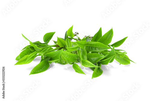 pile of green tea leaves isolated on white background