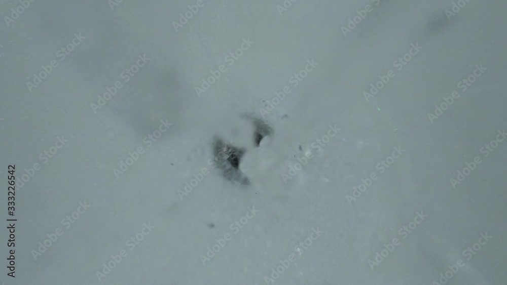 water droplets pouring into the shower / bathtub drain, slow motion water droplets pouring into the shower / bathtub drain, slow motion