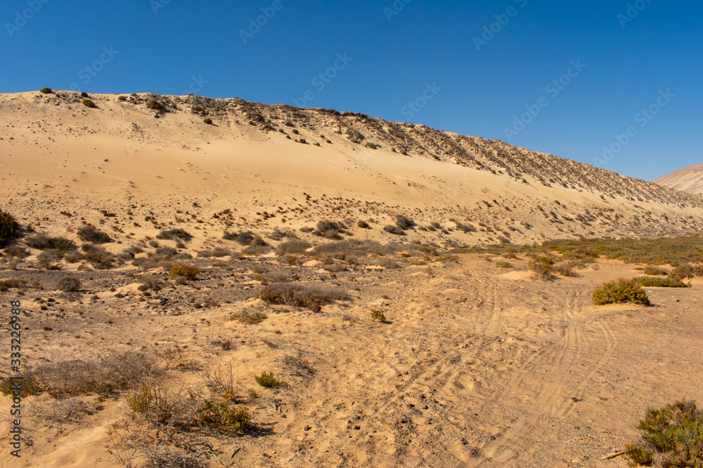 Sand Dunes in Corralejo, Fuerteventura, Canary Islands, Spain. Sand or Desert against Blue sky 