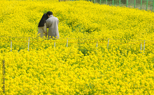 Korean couple in a rape flower garden.