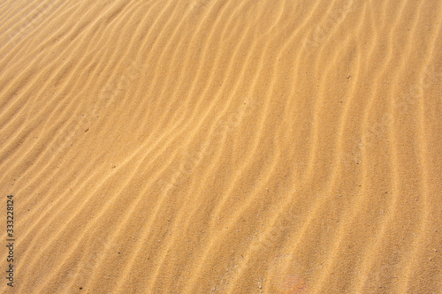Sand Dunes in Corralejo, Fuerteventura, Canary Islands, Spain. Sand or Desert against Blue sky  © Maciej