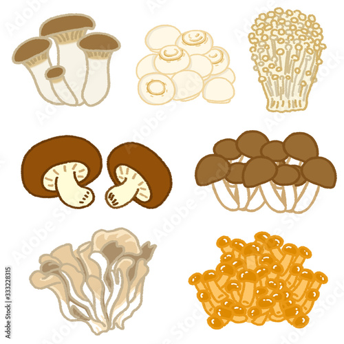 しいたけ しめじ えのき えりんぎ 舞茸 なめこ マッシュルームきのこイラスト素材セット Stock イラスト Adobe Stock