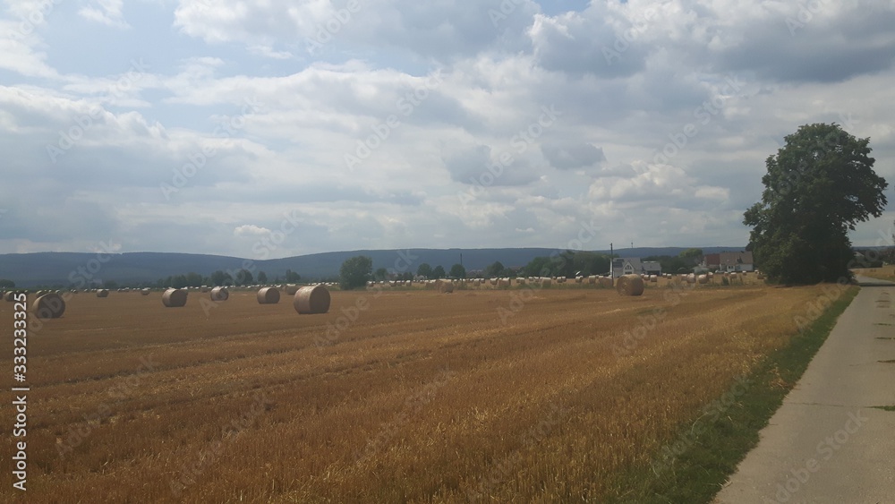Obraz premium Auf einem Acker liegen Rundballen