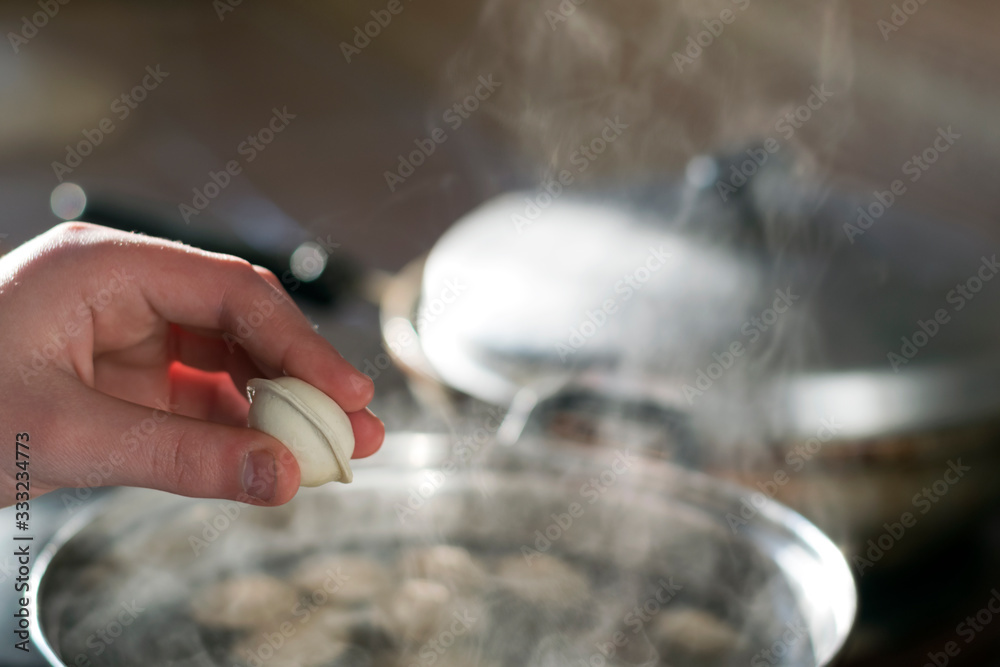 Boiling the dumplings. A woman hand holds a frozen dumpling over a pot of boiling water. Boiling the dumplings. A woman hand holds a frozen dumpling over a pot of boiling water.