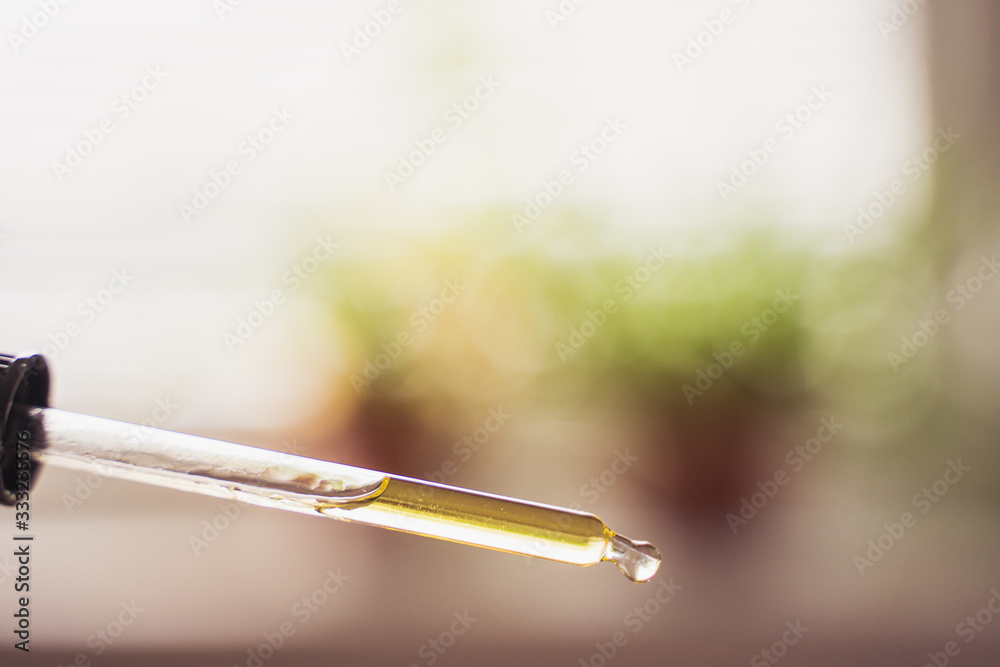 CBD hemp oil, Hand holding bottle of Cannabis oil against Marijuana plant. Herbal Treatment, Alternative Medicine