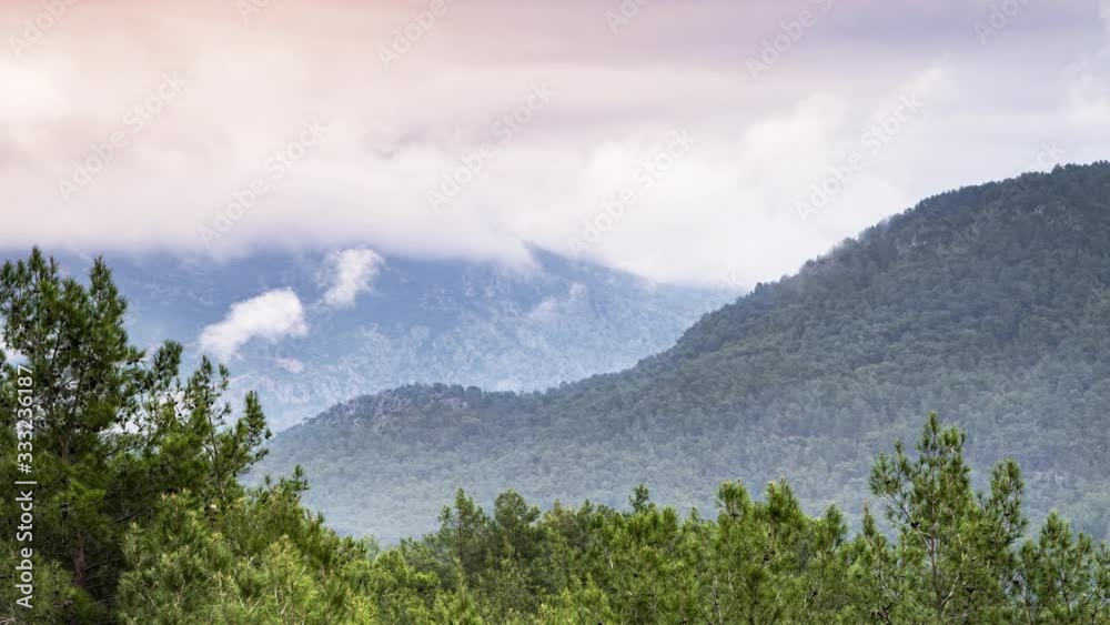 Mist and thick cloud clearing over a forest on a mountain side time lapse Mist and thick cloud clearing over a forest on a mountain side time lapse