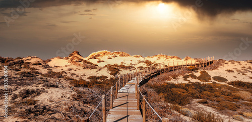 Desert dunes during the sunset