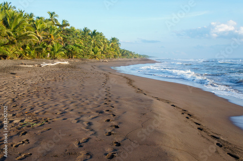 Tortuguero beach at sunrise photo