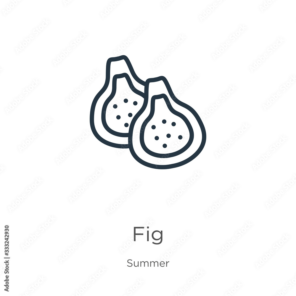 Fig icon. Thin linear fig outline icon isolated on white background from summer collection. Line vector sign, symbol for web and mobile Fig icon. Thin linear fig outline icon isolated on white background from summer collection. Line vector sign, symbol for web and mobile