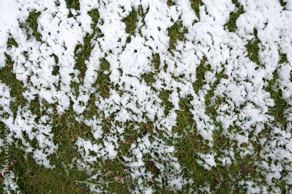 The grass is covered with white snow. Cold spring morning. Patterns of snow The grass is covered with white snow. Cold spring morning. Patterns of snow