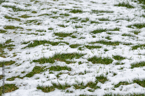 The grass is covered with white snow. Cold spring morning. Patterns of snow