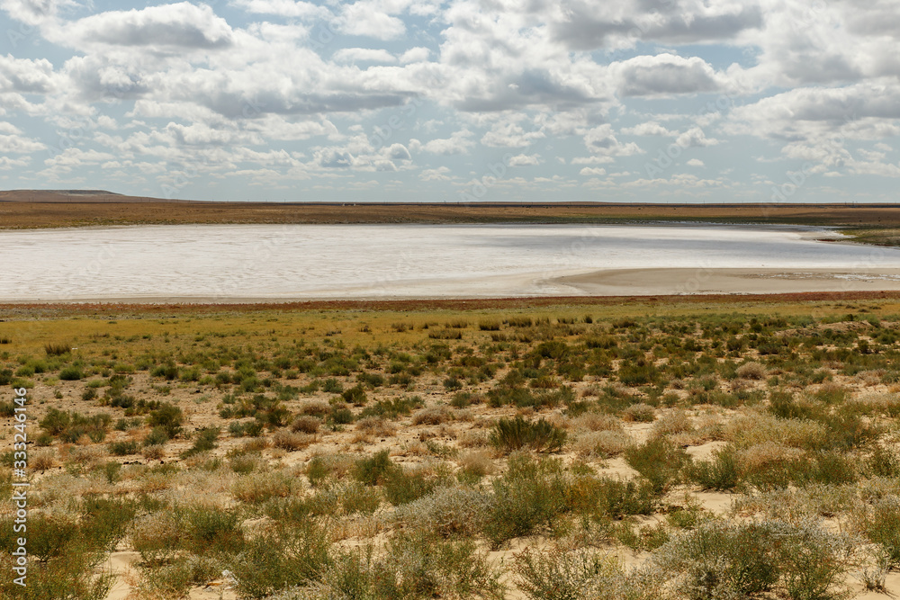 dried salt lake in the steppe of Kazakhstan, Aral District of Kyzylorda Region. dried salt lake in the steppe of Kazakhstan, Aral District of Kyzylorda Region.