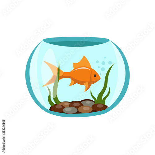 fish in aquarium illustration design element. sea life flat icon.