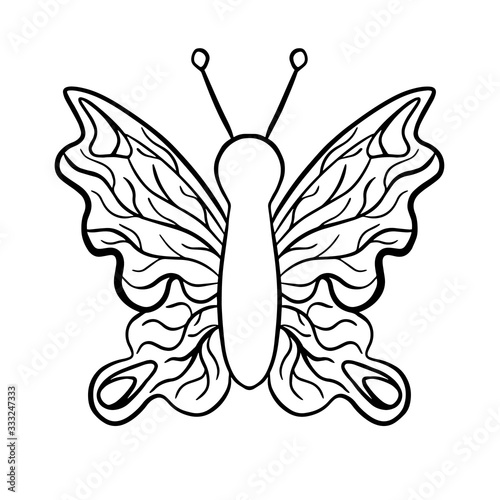  vector illustration coloring butterfly on a white background isolated drawing