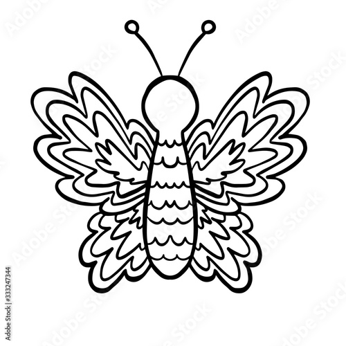  vector illustration coloring butterfly on a white background isolated drawing