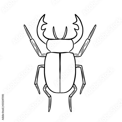 vector illustration coloring insect beetle deer on white background isolated drawing