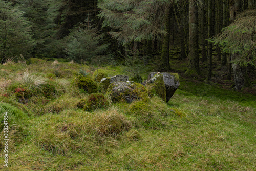 Double Horned Cairn Chambered Grave stones in Ballypatrick forest, Ballycastle, Causeway coast and glens, County Antrim, Northern Ireland photo