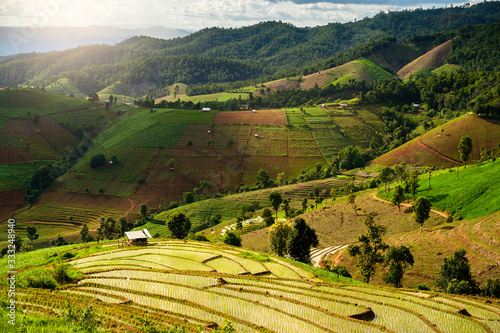 Rice terrace in Mae Chaem District Chiang Mai province Thailand - The Winter view of rice terrace with fog and good weather- Nature Background