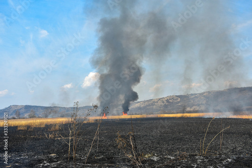 fire and smoke in field