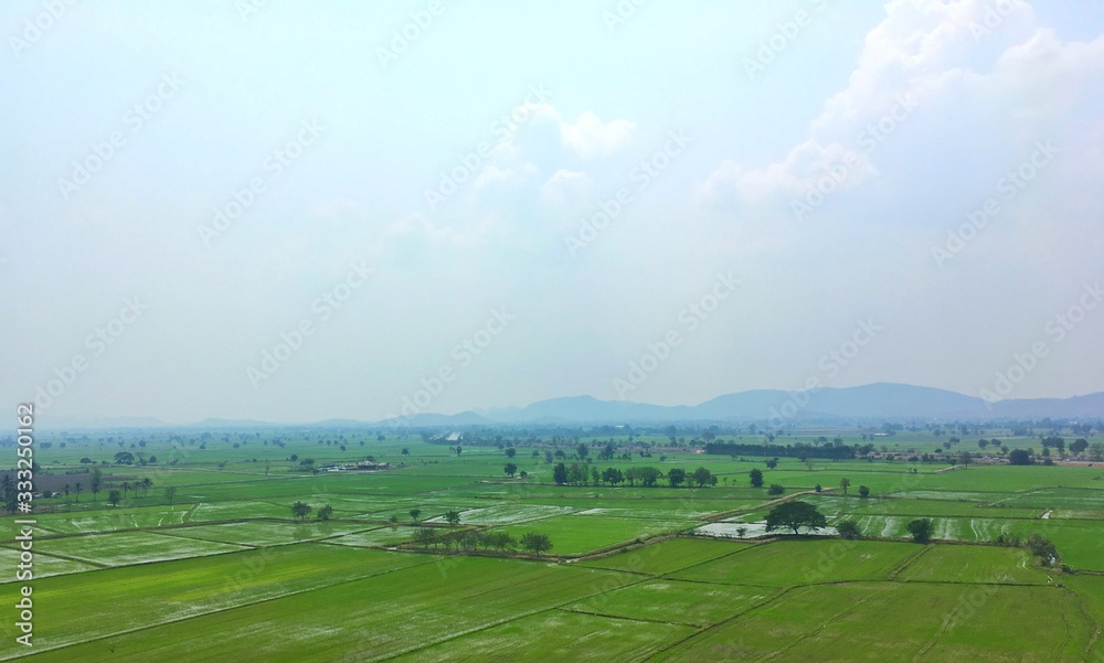 Rice fields and mountains background