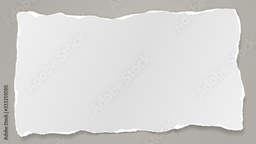 Piece of torn white note, notebook paper with soft shadow stuck on squared background. Vector illustration