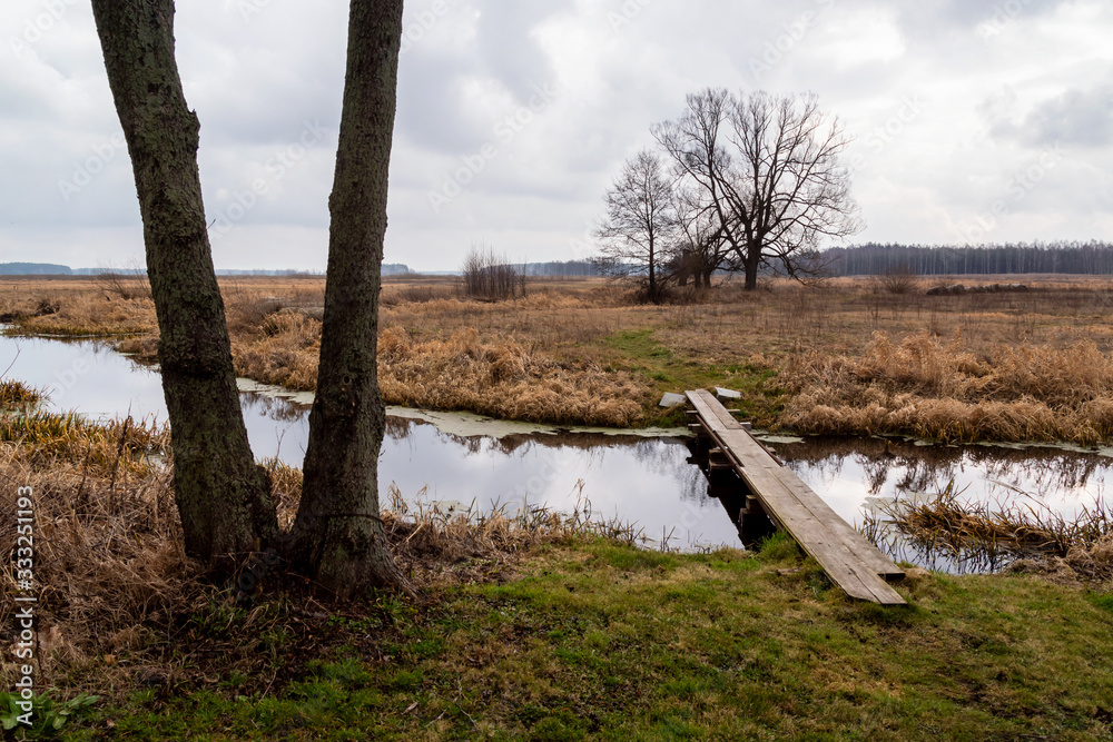 Wiosna na Podlasiu. Dolina Górnej Narwi. Rzeka Narew. Podlasie. Polska