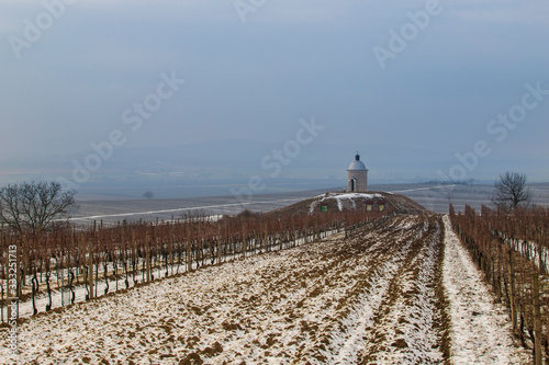 Landscape with a vineyard in Moravia in the Czech Republic with a chapel Hradistek.