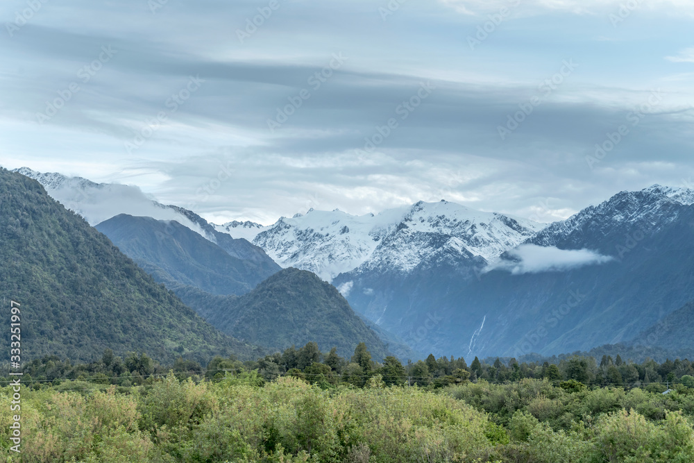 snowy Roon peak out of green forest at Franz Josef Glacier touristic village, West Coast, New Zealand