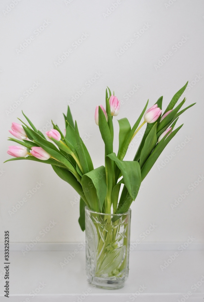 bouquet of tulips in vase on white background bouquet of tulips in vase on white background