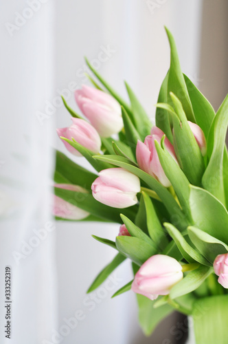 bouquet of tulips on white background